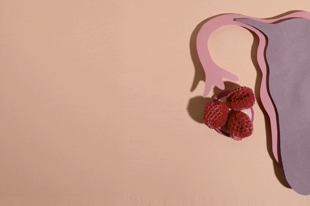 RECONHECENDO A FASE OVULATÓRIA