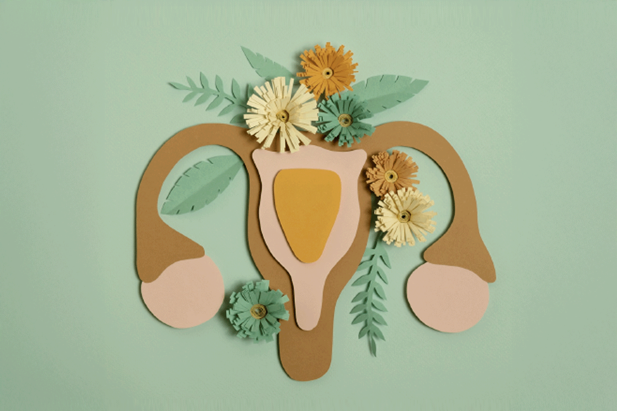 FASE PÓS-OVULATÓRIA: CUIDANDO DAS EMOÇÕES, REDESCOBRINDO O EQUILÍBRIO E NUTRINDO O CORPO