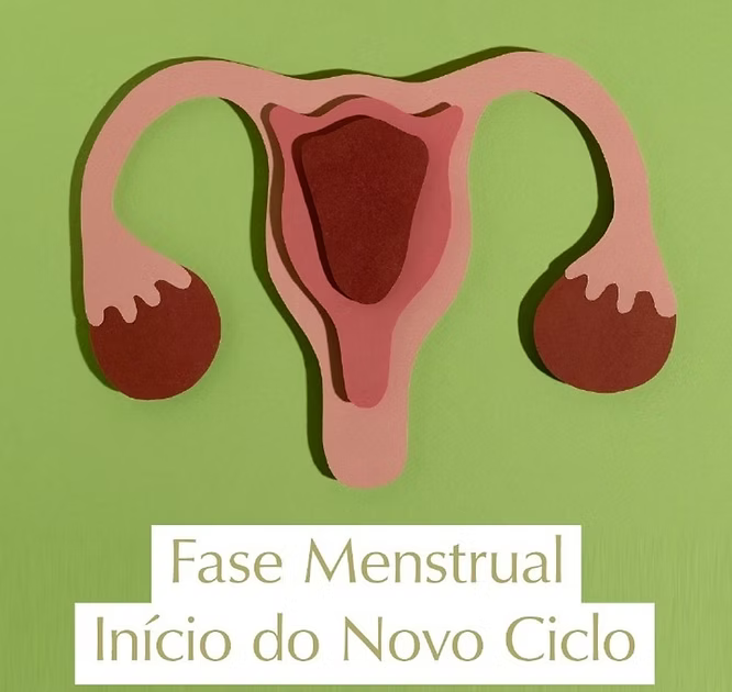 FASE MENSTRUAL: INÍCIO DO NOVO CICLO
