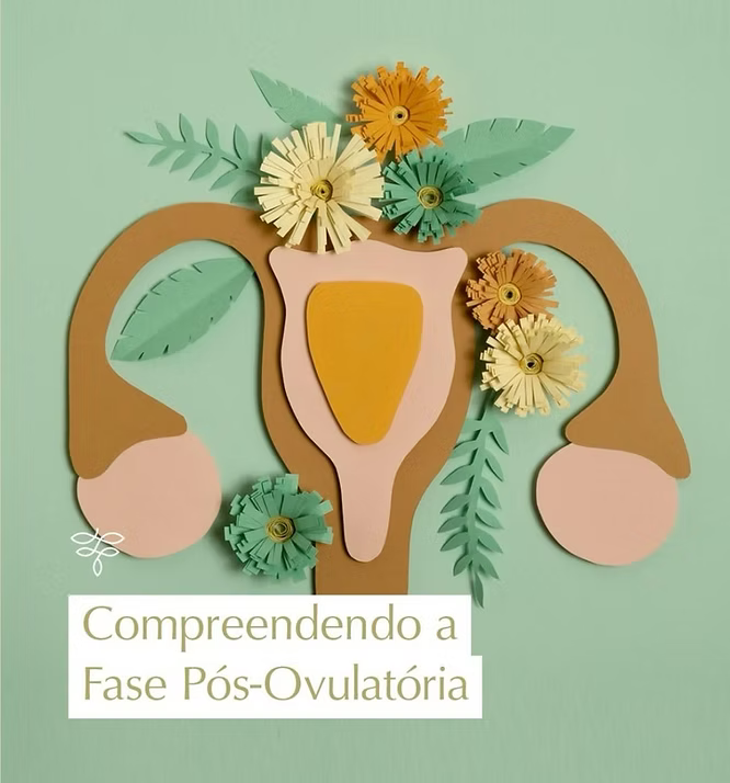 FASE PÓS-OVULATÓRIA: CUIDANDO DAS EMOÇÕES, REDESCOBRINDO O EQUILÍBRIO E NUTRINDO O CORPO