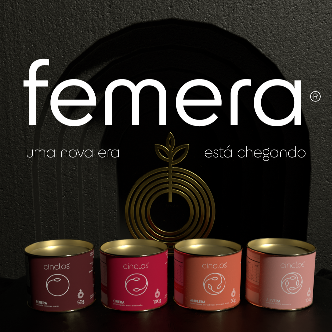 KIT ERAS DO CICLO