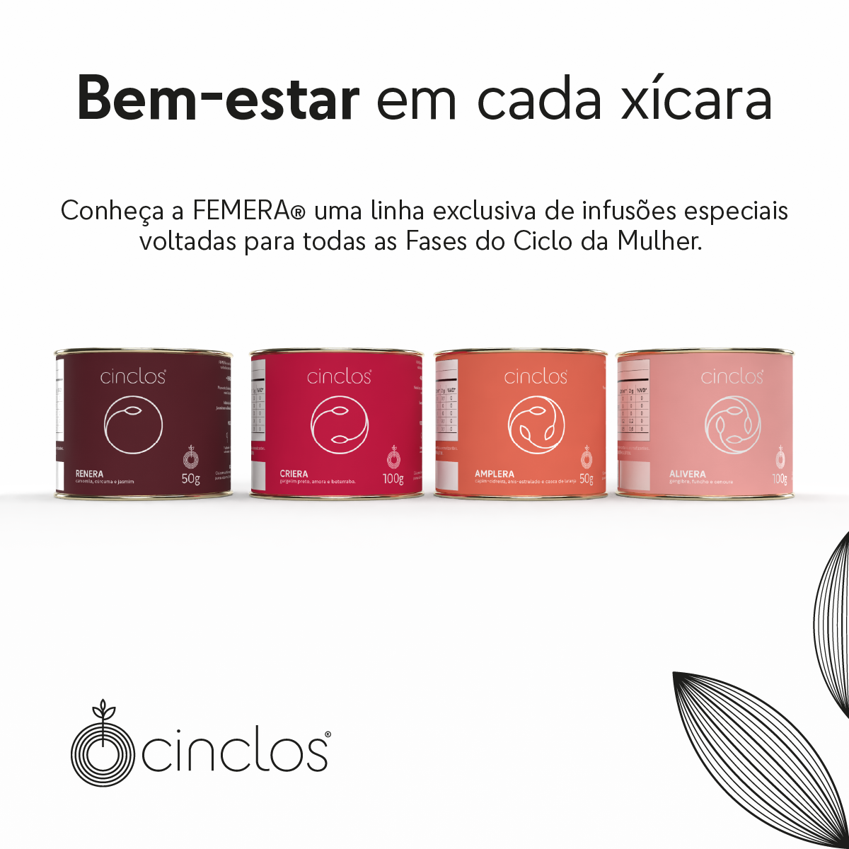 CHÁ AMPLERA