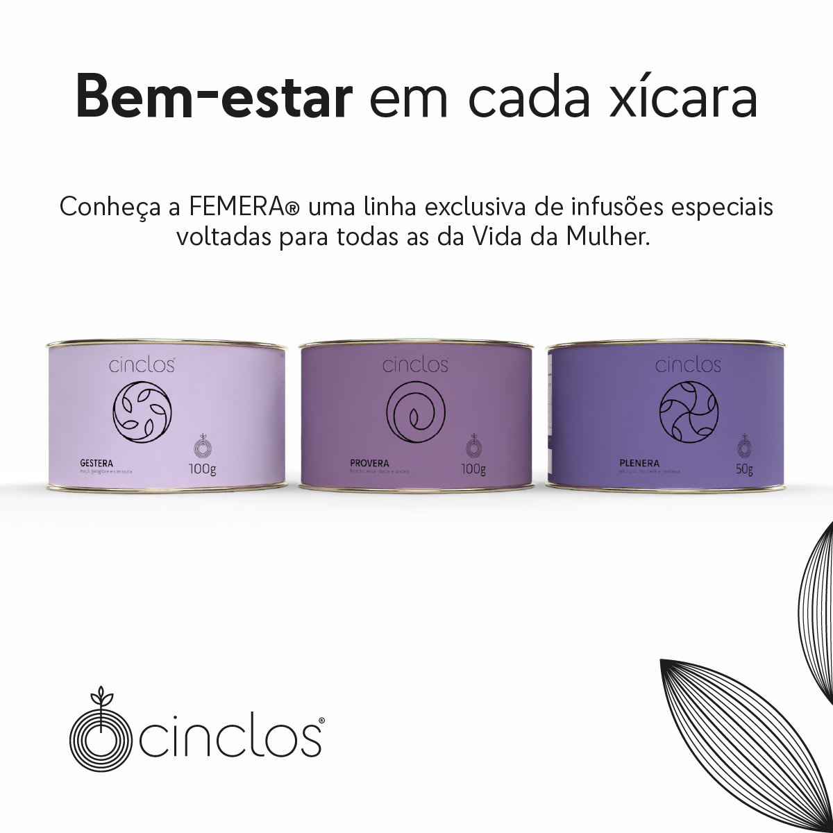 CHÁ GESTERA