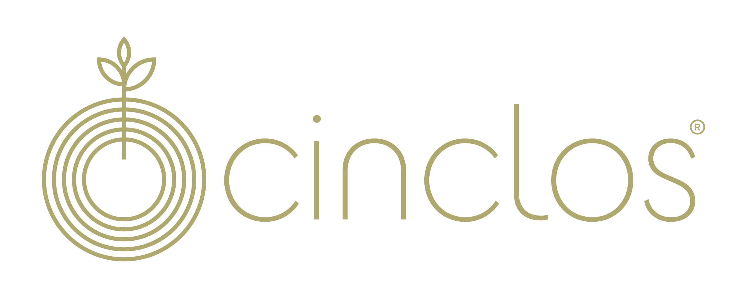 Cinclos Chás e Infusões